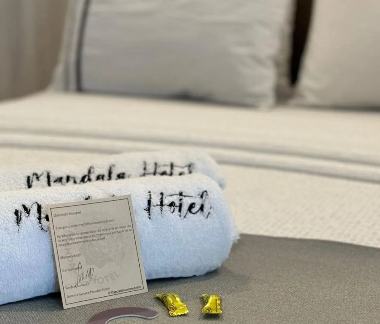 ***  Mandala Hotel Botero Medellin Colombia