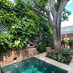 Casa Jaguar Boutique Hotel Cartagena